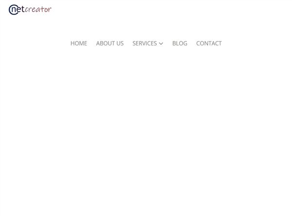Freelance Website Developer/designer In Delhi