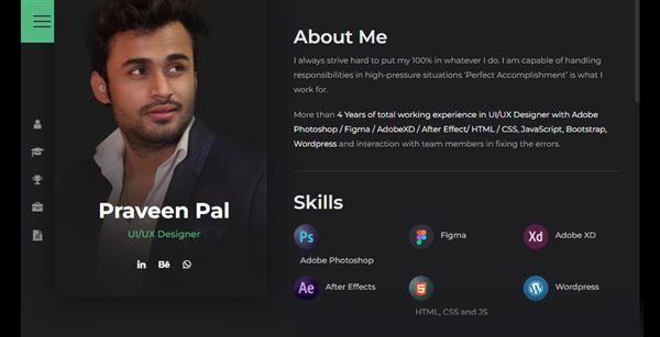 Praveen Pal - Website Designer And Developer