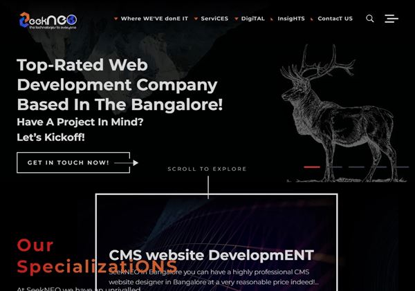 SeekNEO - Web Development, Web Design Company In Bangalore, ECommerce Web Development, SEO Services, Digital Marketing Agency