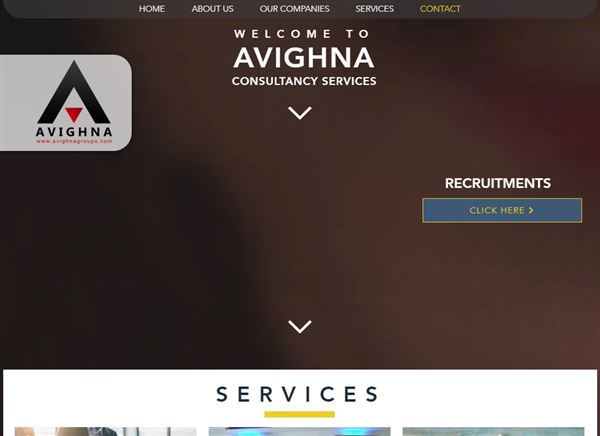 Avighna Consultancy Services