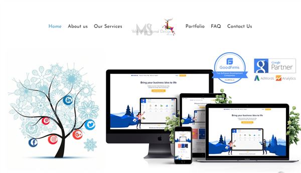 MS Web Professional Design Pvt Ltd