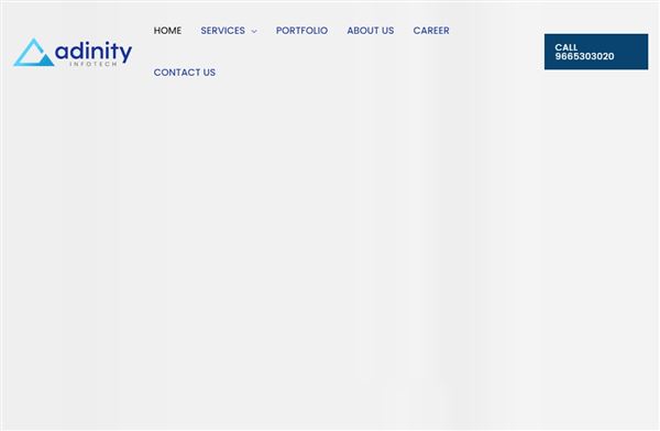 Adinity Infotech - Website Design & Digital Marketing Company Kolhapur