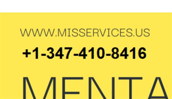 MIS Services Inc