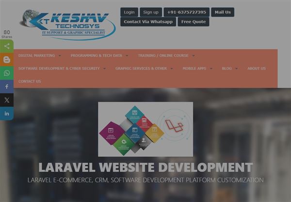 Website Development In Puskar
