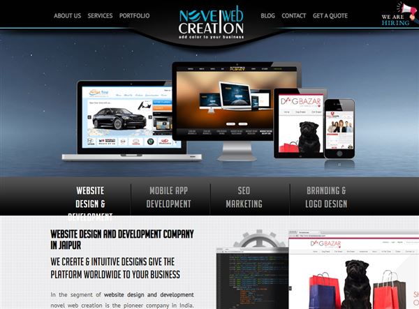 Novel Web Creation | Website Design Company In Jaipur | Digital Marketing Company In Jaipur