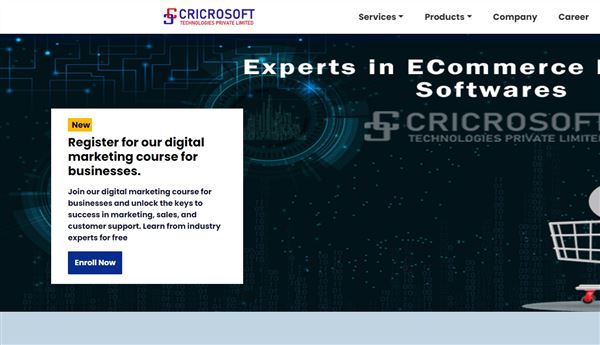 Cricrosoft Technologies - ECommerce Website Development, Excellence In Artificial Intelligence Development & Training