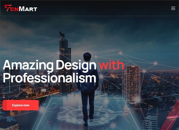 TCNMART Website Designer Company In Baraut