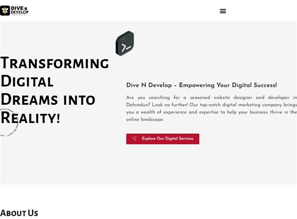 Dive N Develop - Website Designer & Developer | Digital Marketing Company